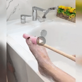 2 IN 1 Toe Gap Cleaning Brush Multi-Functional Simple Long Handle Toe Crevice Cleaning Soft Brush Anti-Contact Foot Scrub Scrub