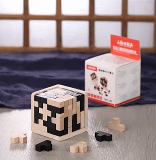 Tetris Wooden Puzzles IQ Toy 54T Cube Educational Toys For Adults Kids And Puzzle Enthusiasts