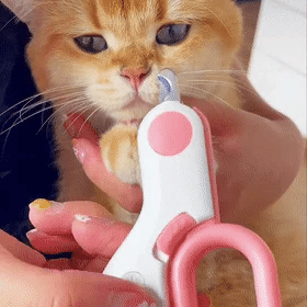 Cat and Dog Pet Nail Clippers with Lighting