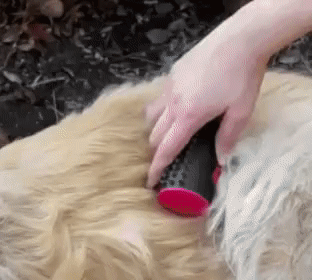 Pet Brush Grooming Cleaning Hair Brush