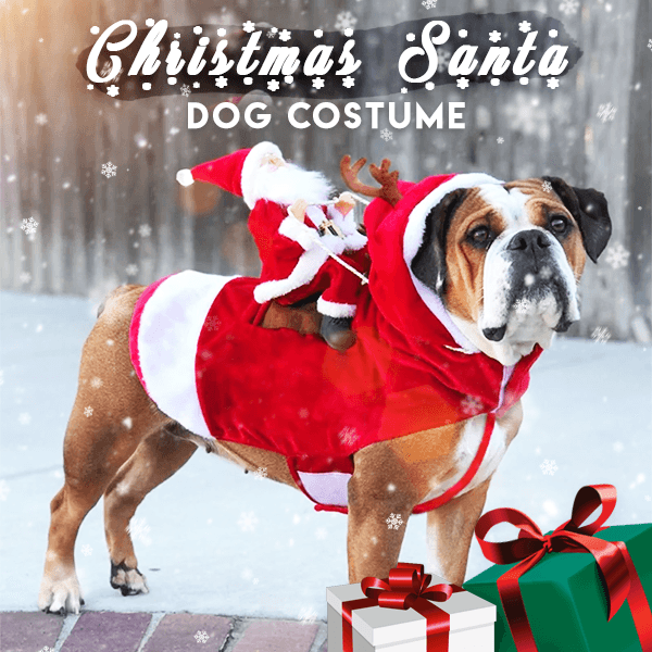 Christmas Santa Dog Costume