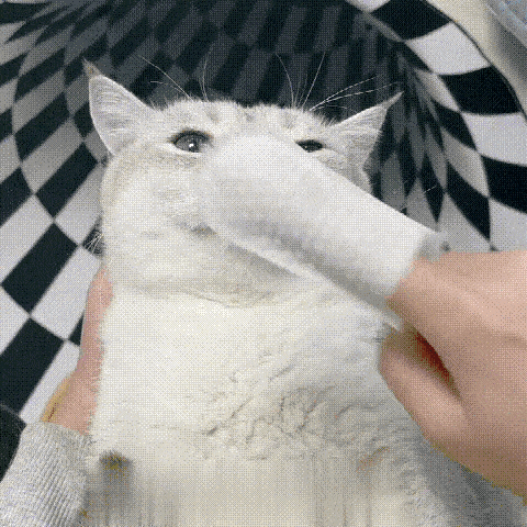 50PCS Pet Dental Cleaning Finger Wipes