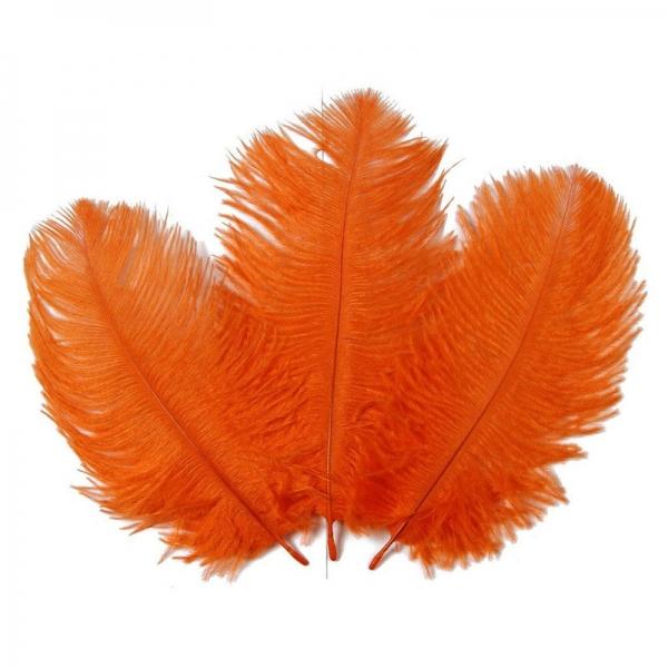 10pcs 10-12inch Natural Ostrich Feathers for Party Wedding Decoration - Orange