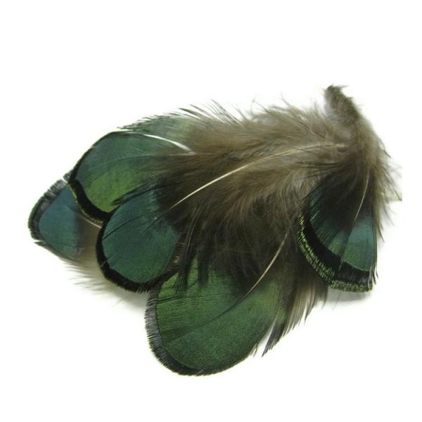 100pcs 6-9cm Beautiful Natural Lady Amherst Bronze Pheasant Plumage Feathers For Craft Jewelry Decoration Green
