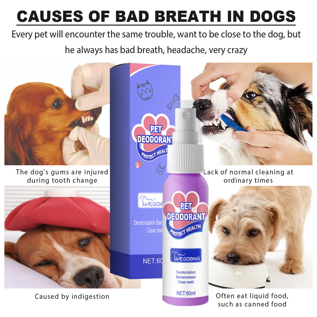 Pet Breath Freshener Bad Breath Spray