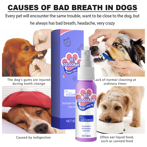 Pet Breath Freshener Bad Breath Spray