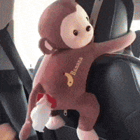 Cute Monkey Tissue Box