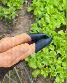 Garden Gloves With Fingertips Claws Quick Easy to Dig and Plant Safe for Rose Pruning Gloves Mittens Digging Gloves