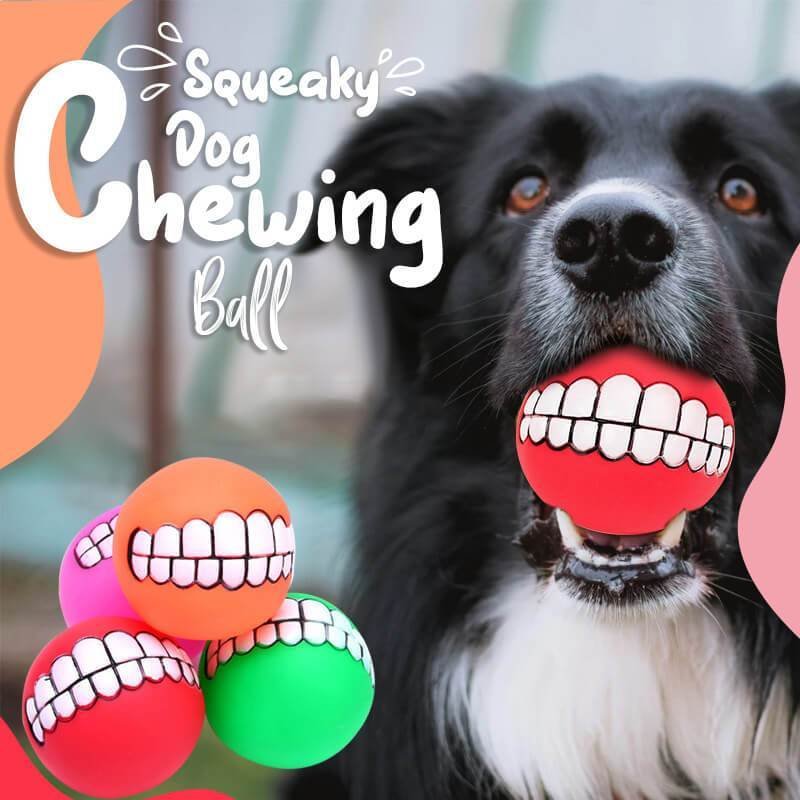 Squeaky Dog Chewing Ball