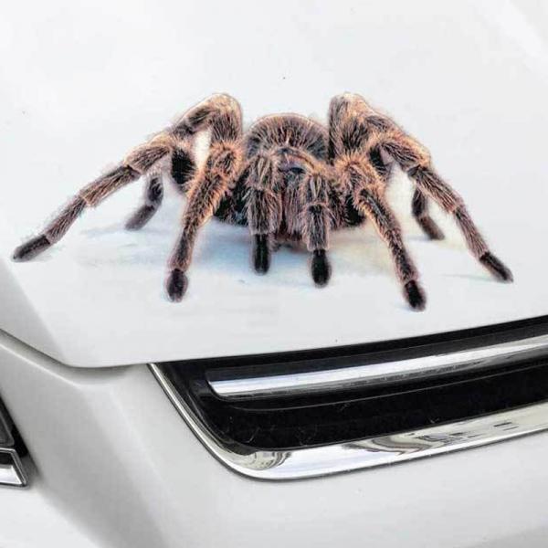3D Car Sticker Animals Bumper Door Decor PVC Motorcycle Cover Scratches Decorative Stickers