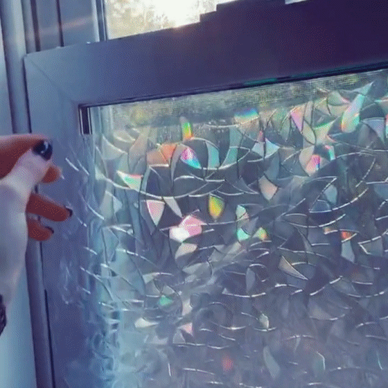 Rainbow Window Privacy Film