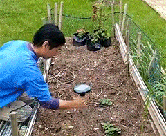 Mole Repellent Solar Power Ultrasonic Pest Repeller for Snake/Bird/Mouse