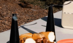 Automatic Fly Trap Outdoor Multi-Function Fan leaf Fly Repellent