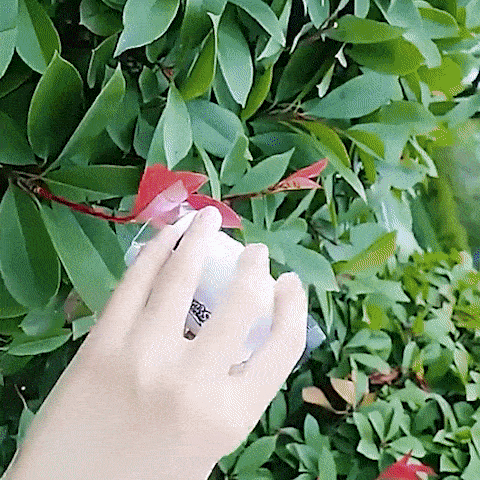 60-120X Portable Pocket Microscope With Adjustable Zoom For Kid/Amateur