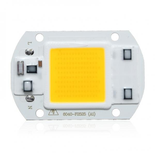 30W 1800LM LED Flood Light DIY COB Chip Bulb Bead 60x40mm AC220V White Light