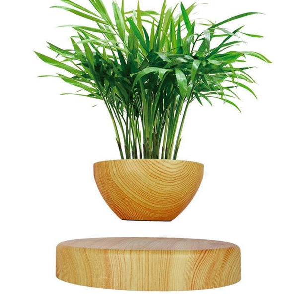 Levitating Plant Pot Maglev Potted Plants Creative Home Furnishings Suspended Potted Plant Bonsai Desk Decor  30+