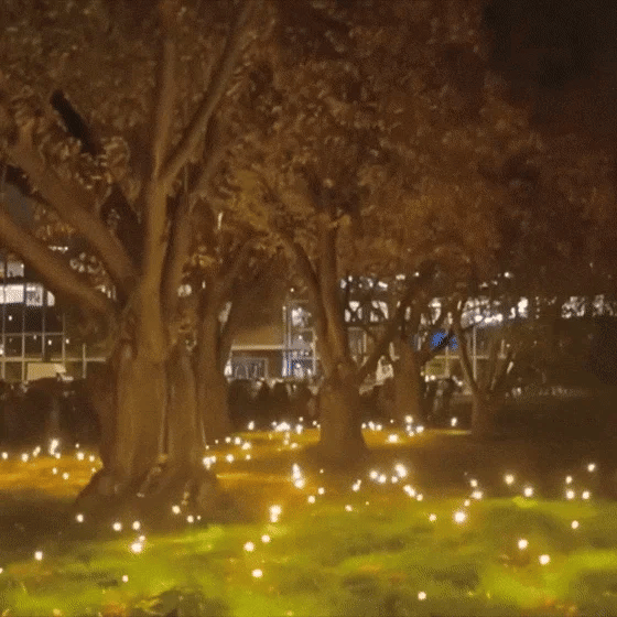 2PCS/4PCS/10PCS 6 Bulbs Waterproof Solar Powered Firefly Light