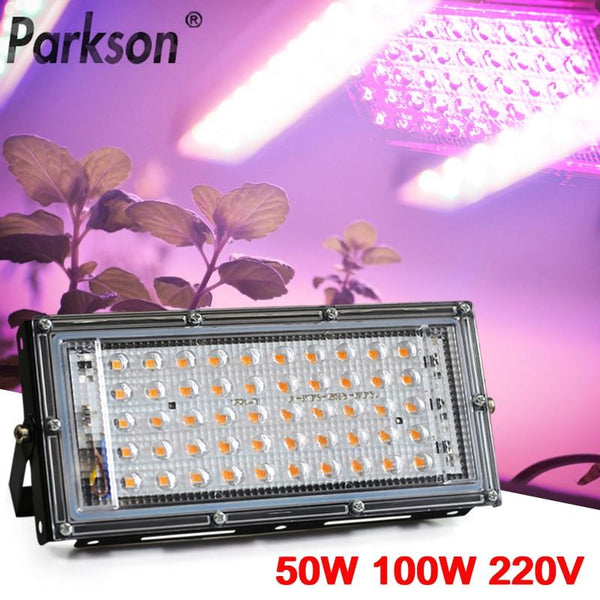 50W 100W 220V outdoor Led Floodlight Full Spectrum LED plant growth lamp Led Spotlight Projector Streetlight Led Grow light