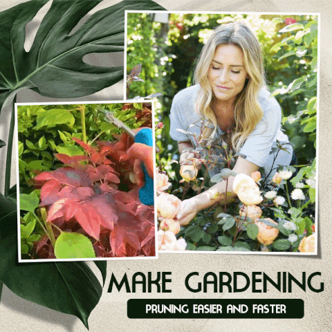 Portable Pointed Gardening Scissor