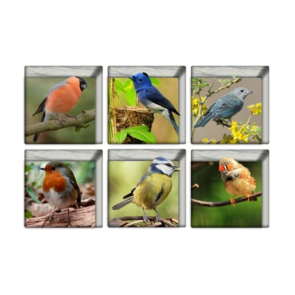 6pcs 13*13CM DIY 3D Anti Slip Waterproof Bathtub Sticker Removable Mural - Bird