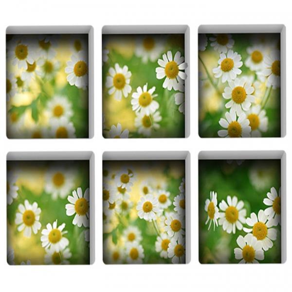 6pcs 13*13CM DIY 3D Anti Slip Waterproof Bathtub Sticker Removable Mural - Luminous Daisy