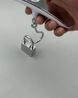 Portable Electronic Hook Scale