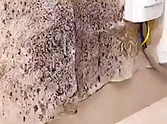 All-purpose Mold Remover Wall Mold Removal Bathroom Kitchen Mildew Mold Remover