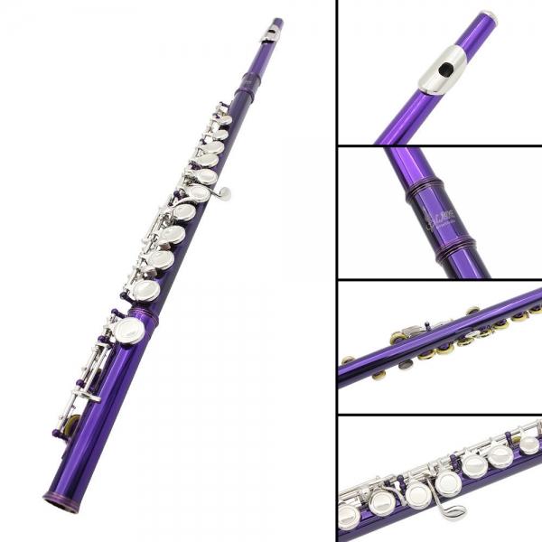 Brass Flute 16 Holes C Key Flute Kit for Student Beginner School Band Purple