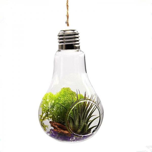 Glass Bulb Shape Flower Water Plant Hanging Vase One Hole with Rope for Home Office Wedding Decor