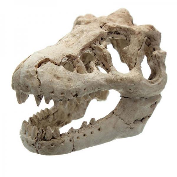 Resin Artificial Dinosaur Skull Aquarium Fish Tank Decoration - Size S