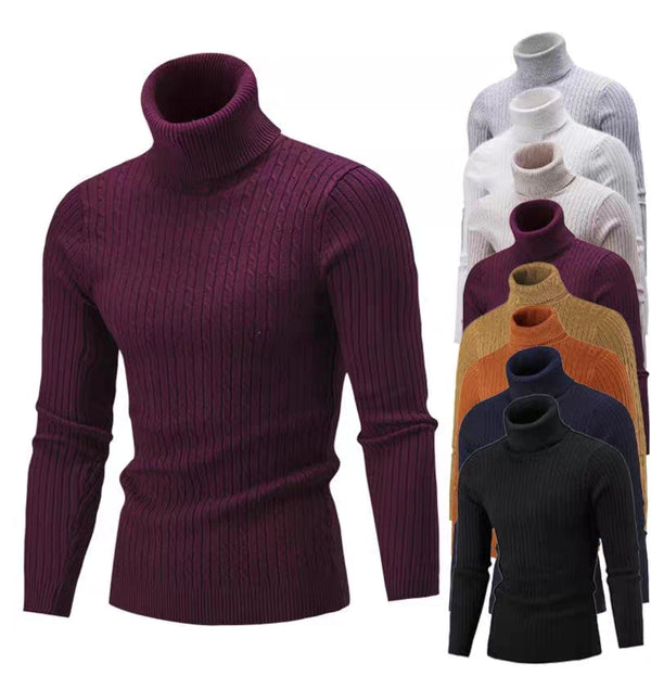 Autumn Winter Men's Turtleneck Sweater Men's Knitting Pullovers Rollneck Knitted Sweater Warm Men Jumper Slim Fit Casual Sweater