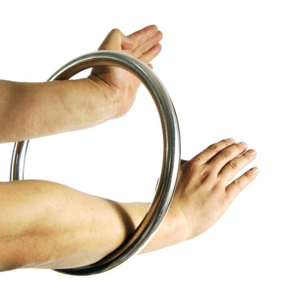 Wing Chun Kung Fu Stainless Steel Training Ring Silver
