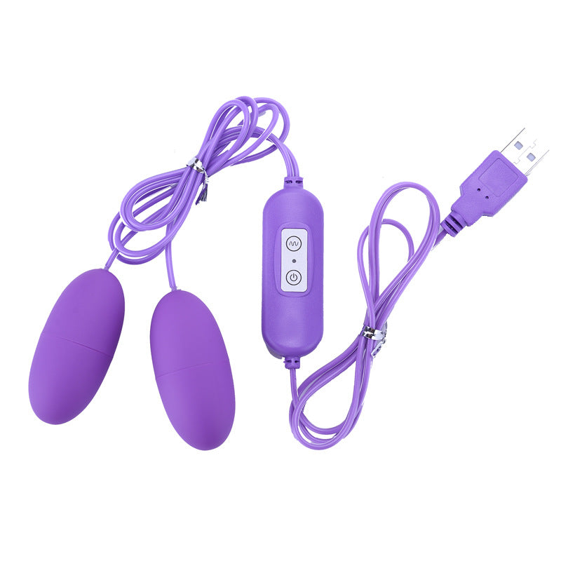 USB Vibrating Eggs 12 Frequency Double Vibrator Adult Sex Toy