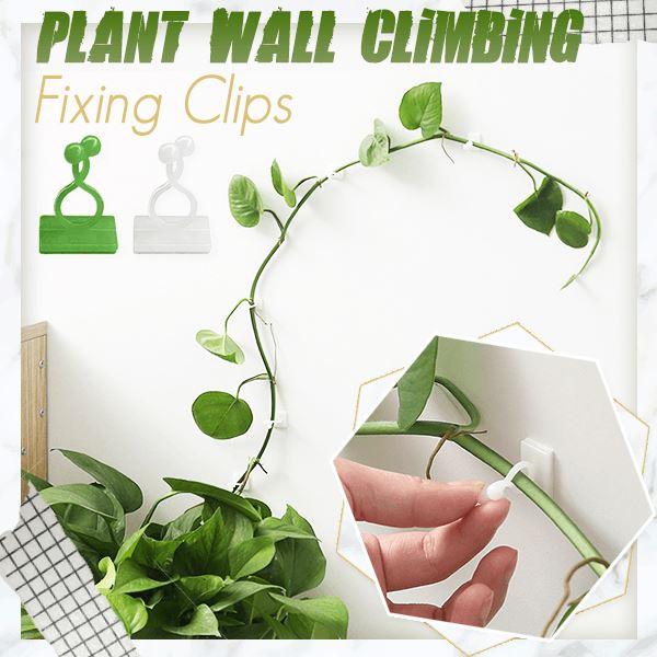 10pcs/50pcs Plant Wall Climbing Fixing Clips Invisible Wall Rattan Clamp Clip Invisible Wall Vine Climbing Sticky Hook Rattan Fixed Clip Bracket Plant Stent Supports