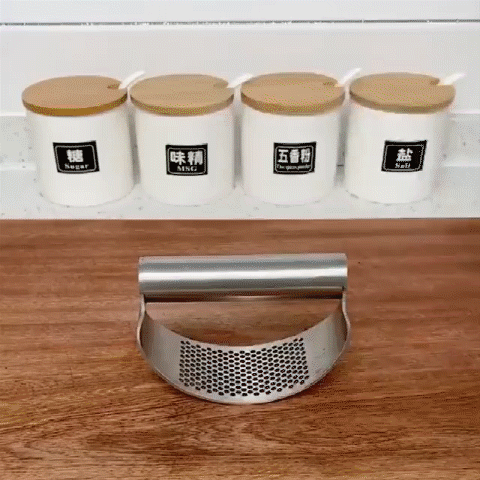 Stainless Steel Garlic Press Round Garlic Crusher