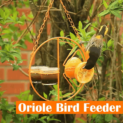 Smart Design Bird Feeder Wrought Iron Orange