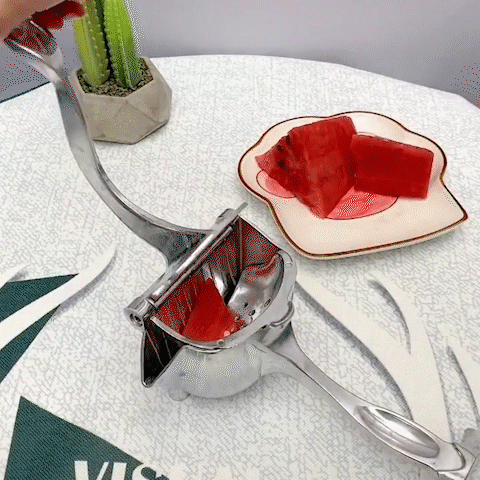 Manual Juicer Stainless Steel Juicer