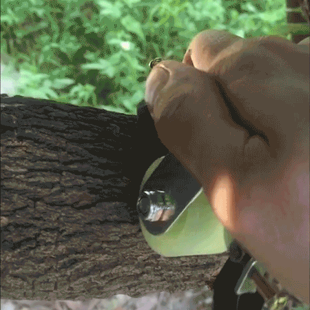 Fruit tree ring stripping knife