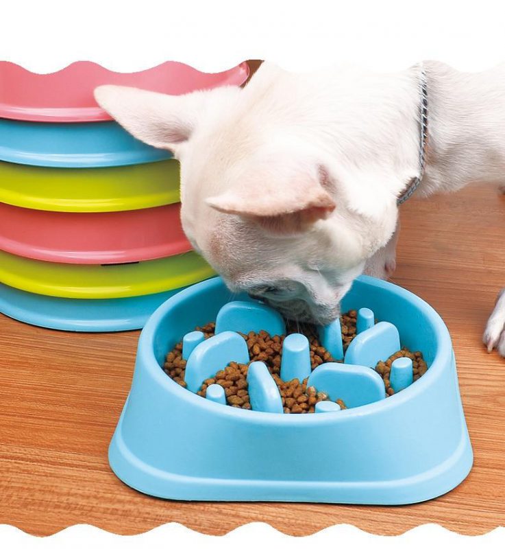 Anti-Choke Pet Bowl Slow Food Slow Food Petal Bowl